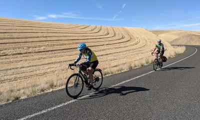 Two riders travel along golden fields of harvested wheat, against a blue sky