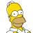 Homer